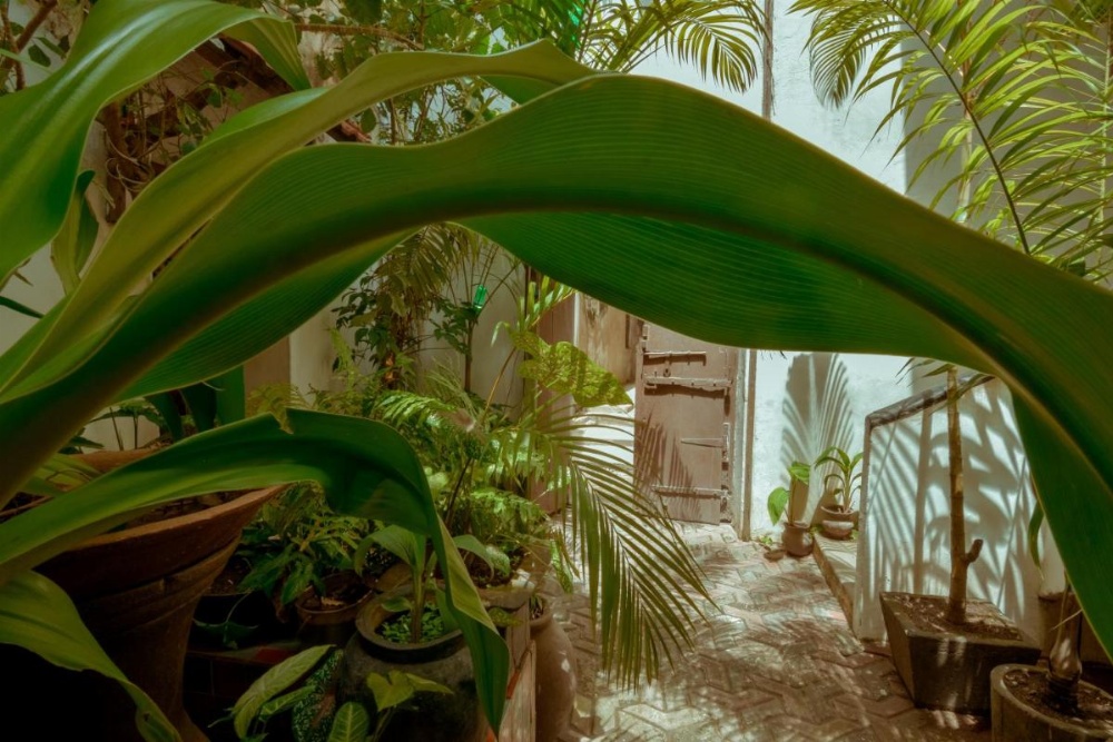 Malindi Guest House Image 12