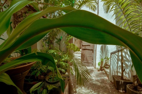 Malindi Guest House image 12