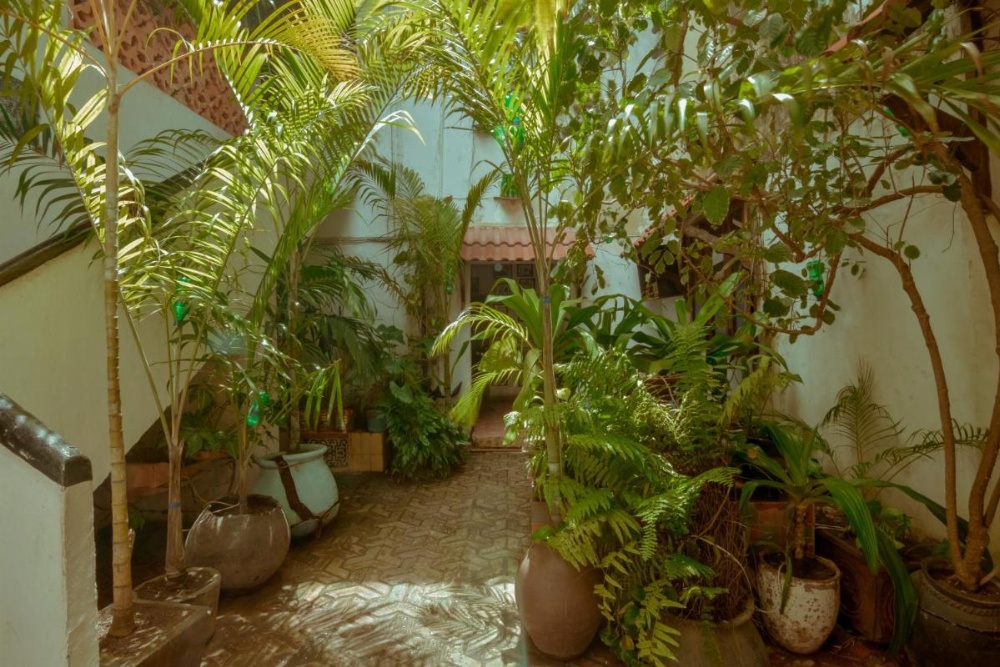 Malindi Guest House Image 28