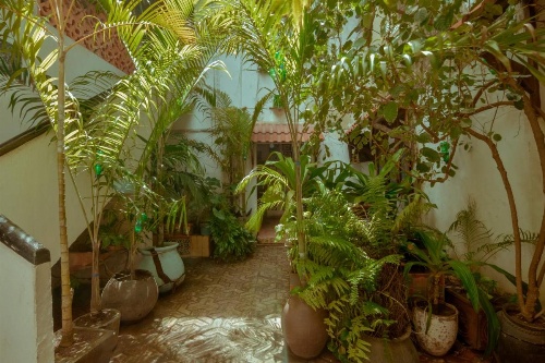 Malindi Guest House image 28