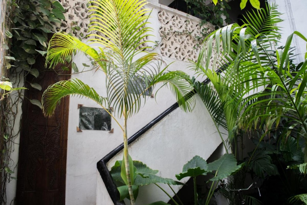 Malindi Guest House