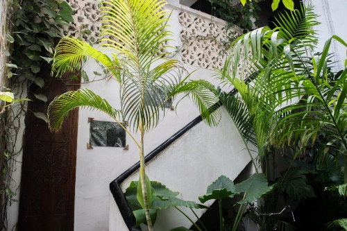 Malindi Guest House image 5